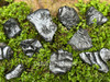 Assorted raw hematite stones displayed on a bed of greenery in filtered sunlight