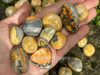 several bumblebee jasper stones are lying across an open palm in filtered sunlight with more in the background.