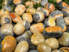 a macro close up of an assortment of bumblebee jasper stones are lying in a bed of greenery showing variations in stone size, shape and markings.