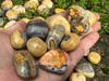 BUMBLEBEE JASPER Tumbled Stone for Creativity, Motivation