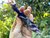 Dream Amethyst Athame with star-crowned handle held between fingers, multiple amethyst ritual knives in background with greenery setting.