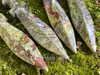 Front macro view of four dragon’s blood jasper athames lying on greenery, showing blades and intricate stone texture. Front macro view of four dragon’s blood jasper athames lying on greenery, showing blades and intricate stone texture.