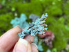 Native copper mineral held between fingers with more specimens resting on moss-covered brick in the background, emphasizing details. Native copper mineral held between fingers with more specimens resting on moss-covered brick in the background, emphasizing details.