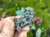 Natural native copper specimen held between fingers with moss-covered brick backdrop, capturing oxidation. Natural native copper specimen held between fingers with moss-covered brick backdrop, capturing oxidation.
