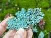 Large natural native copper specimen held between fingers, showing intricate oxidation patterns in stunning detail. Large natural native copper specimen held between fingers, showing intricate oxidation patterns in stunning detail.