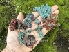 Assorted native copper pieces resting across an open palm with moss-covered brick in the background, highlighting raw texture and color variations. Assorted native copper pieces resting across an open palm with moss-covered brick in the background, highlighting raw texture and color variations.