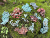 A collection of native copper specimens of varied sizes on moss-covered brick, viewed from overhead to show natural formations, texture, and oxidation. A collection of native copper specimens of varied sizes on moss-covered brick, viewed from overhead to show natural formations, texture, and oxidation.