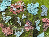 Overhead view of native copper specimens arranged on moss-covered brick, showcasing texture, oxidation, and natural tones. Overhead view of native copper specimens arranged on moss-covered brick, showcasing texture, oxidation, and natural tones.