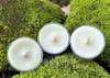 Three handmade bayberry tealights viewed from above on moss-covered brick, highlighting natural olive-green bayberry wax and classic tealight candle design for holiday and prosperity rituals.