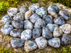 Close-up of Natural Dendritic Agate tumbled stones displaying beautiful black dendritic inclusions, polished surfaces, and unique natural patterns in shades of gray, white, and cream.