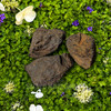 Three extra large natural rough magnetite lodestones resting among green foliage and small flowers, showing variations in shape, texture, and natural coloration. Approximately 2.3–3.5 inches and 10–14 oz each.