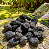Medium natural tektite stones arranged on a moss-covered rock in a sunlit garden setting.