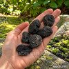 Medium natural tektite stones held in hand, showing porous black surfaces and varied natural shapes.