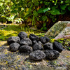 Large natural tektite stones with rough black pitted surfaces displayed on a mossy rock in sunlight.