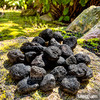 Medium natural tektite stones arranged on a moss-covered rock in a sunlit garden setting.