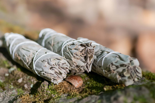 Three hand-tied white sage smudge bundles rest on a mossy rock.