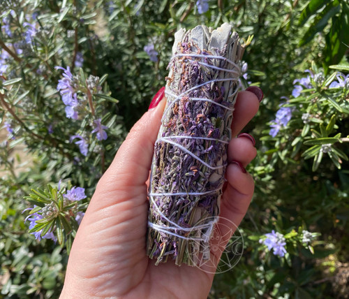 Our organic White Sage and English Lavender smudge bundle is perfect for purification with the added energetic blessings of real, fragrant lavender flowers. This sage and lavender smudge stick includes English Lavender flowers which adds a deeper sense of calm and peace to your space. It is most beneficial for a bedroom or a stressful home. Smudging, the ritual burning of sage, is done to clear a space or person of negative energies, and the addition of lavender makes this smudge wand truly special. The lavender and sage are ethically harvested, bundled and tied by hand, and gently dried. Our white sage is grown and harvested in summer. Traditionally used by the North American Indians as a means of purification. When lit, the smoldering bundle of sage and roses produce a highly aromatic fragrance. Great for ritual, incense, or purification use. Each one of our smudge sticks is hand-wrapped with pure cotton, love, and sacred intention.