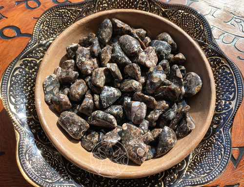 Turritella agate helps to dispell negative thoughts; it is said to help soothe the ego by reducing the need to be right or superior. It encourages balance during stressful times or times of transition through self-analysis to discover the underlying symptoms of your unhappiness. This stone can help promote self-acceptance and confidence. 