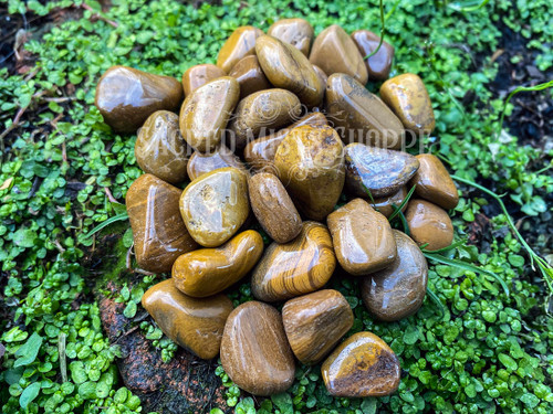 several yellow jasper stones lie on a brick covered with moss and greenery