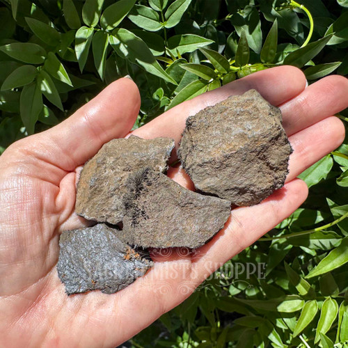 Four medium natural rough magnetite lodestones held in a hand for scale, showing varied irregular shapes, earthy dark surfaces, and natural magnetic texture. Approximately 1–2 inches.