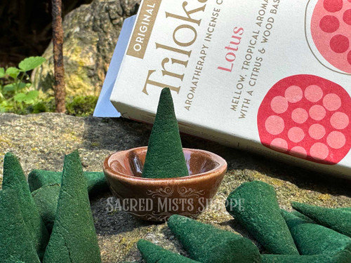 lotus incense cones standing and lying down in the foreground with a cone sitting in the ceramic burner in the center with a box of lotus incense cones in the background.