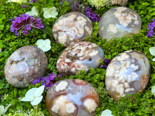 six flower agate stones resting inclover and purple flowers.
