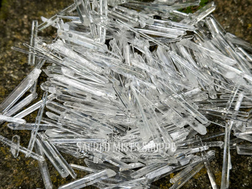 Assortment of Singing Quartz crystals on a rock with greenery, clear quartz points shining in filtered sunlight, high vibration crystals for sound healing.