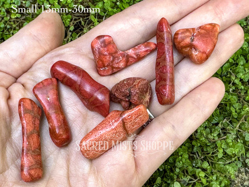 Variety of small red sponge coral pieces lying on an open palm with additional coral pieces scattered in green foliage.