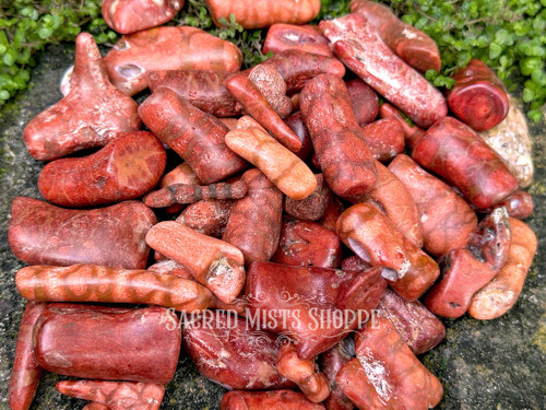 Close-up of red sponge coral stones on a natural rock surface surrounded by greenery showing organic surface detail.