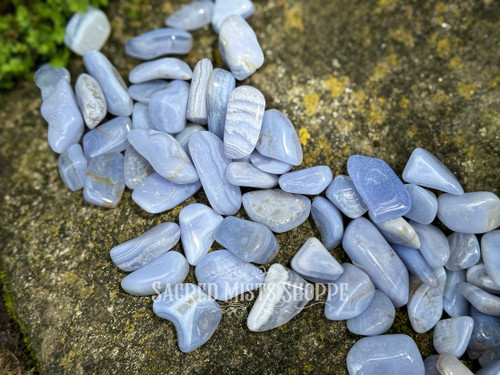 Assorted blue lace agate tumbled crystals displayed on a large rock with nearby greenery, showing soft blue banding from above.