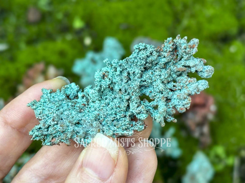 Large natural native copper specimen held between fingers, showing intricate oxidation patterns in stunning detail.