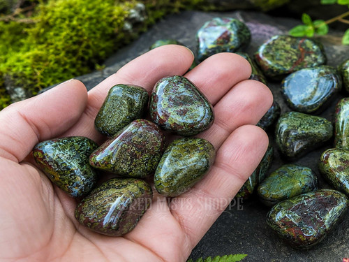 Hand holding polished Dragon's Blood Jasper tumbled stones showing rich green coloring with deep red natural patterns.