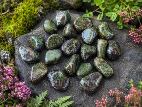 Natural Dragon's Blood Jasper tumbled stones displayed among moss and woodland greenery in natural sunlight.
