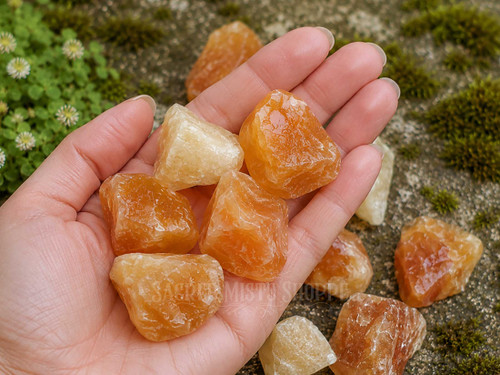 Hand holding several Natural Honey Calcite rough stones, highlighting their translucent golden coloring, raw crystalline structure, and substantial size against a nature-inspired background.