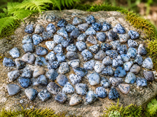 Collection of Natural Dendritic Agate tumbled stones displayed on a weathered stone surface in a woodland setting, showcasing polished gray, white, and cream agates with distinctive black tree-like dendritic inclusions.
