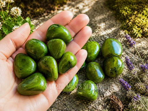 Hand holding several Natural Nephrite Jade tumbled stones, highlighting their smooth polished finish, vibrant green color, and natural patterns against a nature-inspired background.