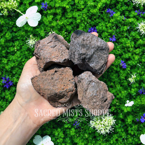 Large natural rough magnetite lodestones held in a hand for scale, showing their substantial size, varied shapes, and naturally textured magnetic surfaces. Approximately 2.5–3 inches and 6–10 oz each.