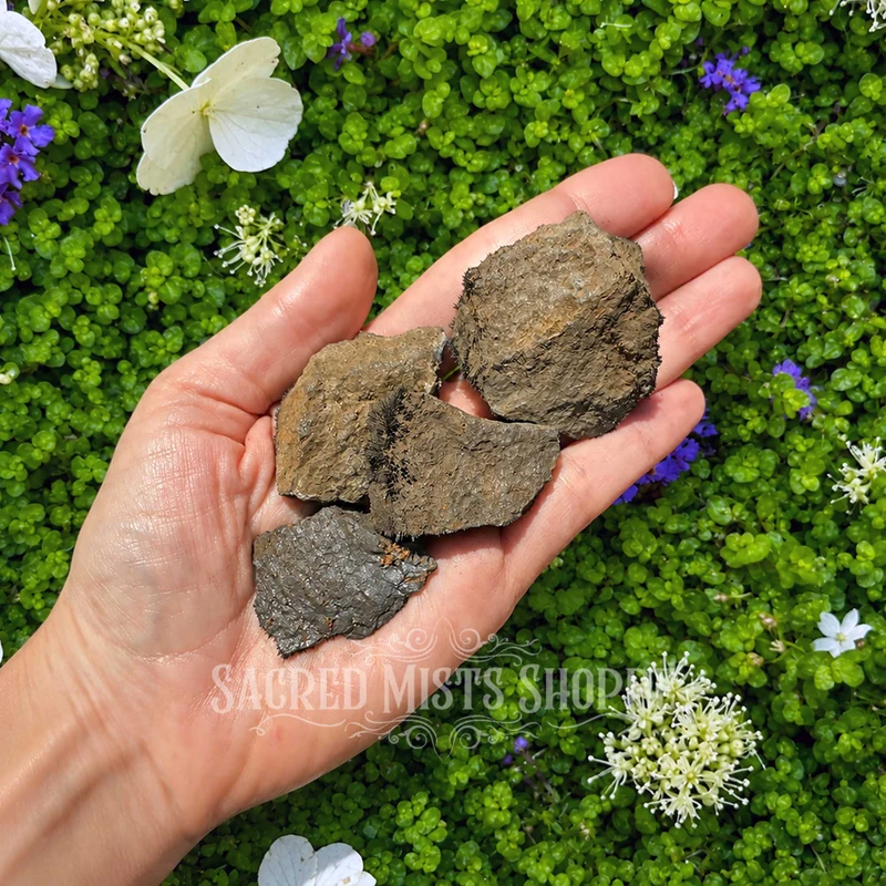 Four natural rough magnetite lodestones held in a hand for scale, showing variations in shape, color, and textured magnetic surfaces. Approximately 1–2 inches. 