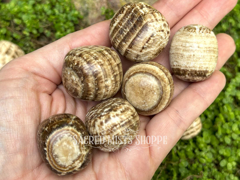 Polished brown aragonite crystals displayed on an open palm with greenery and rock in the background, illustrating natural texture and earthy tones.