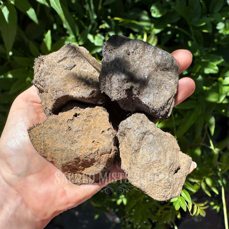 Four large natural rough magnetite lodestones held in a hand for scale, showing their substantial size, irregular shapes, and naturally textured magnetic surfaces. Approximately 2.5–3 inches.