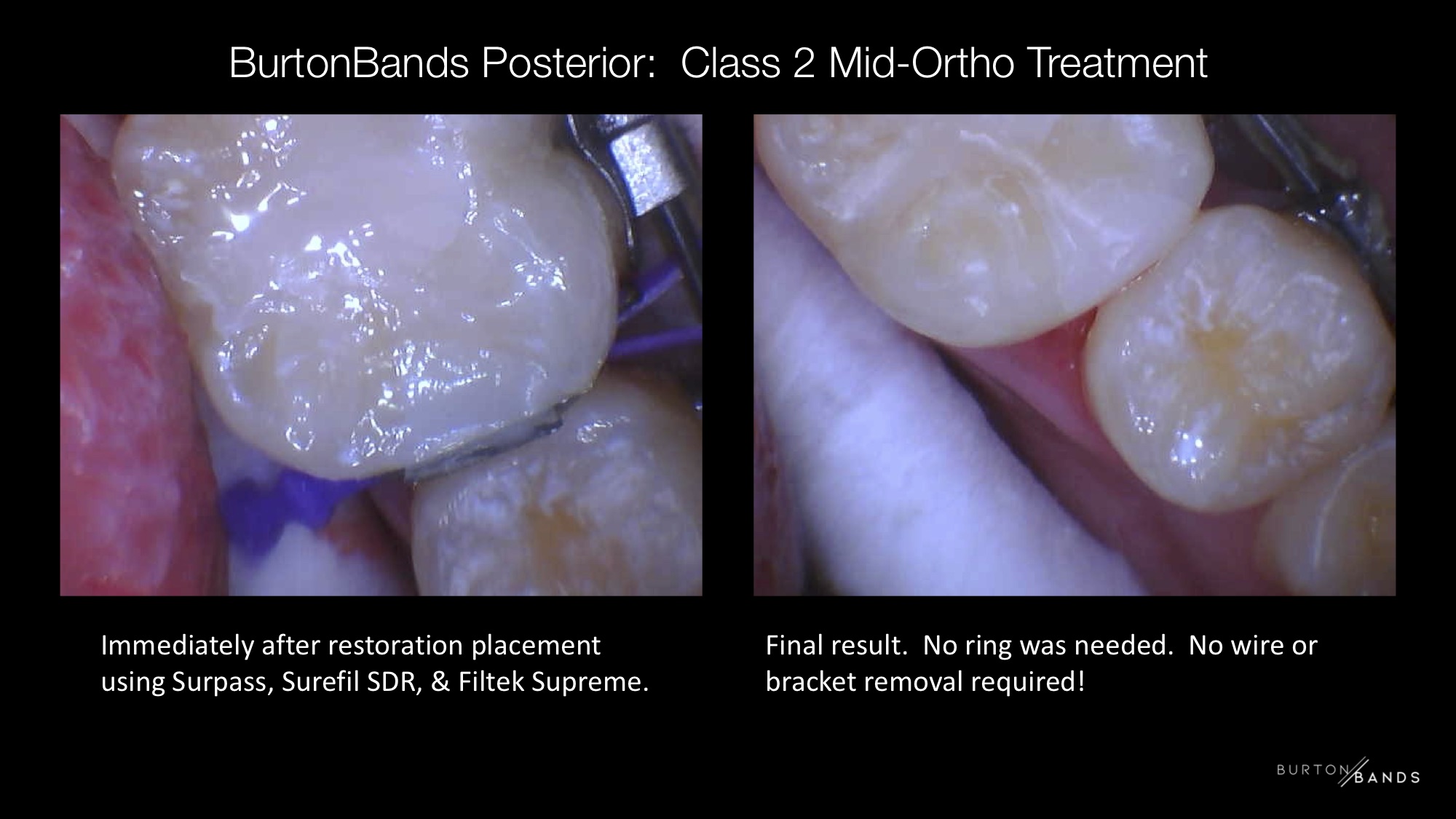 ortho-2.0.jpg