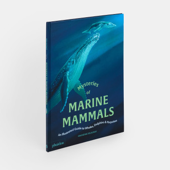 Mysteries of Marine Mammals: An Illustrated Guide to Whales, Dolphins, and Porpoises - ISBN 9781837290208