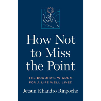 How Not to Miss the Point - ISBN 9781611808568