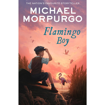 Flamingo Boy - ISBN 9780008638740