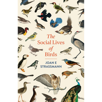 The Social Lives of Birds - ISBN 9781035417155