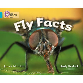 Collins Big Cat - Fly Facts: Band 07/Turquoise - ISBN 9780007186082