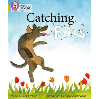 Collins Big Cat - Catching Flies: Band 09/Gold - ISBN 9780007461813