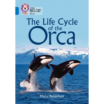 Collins Big Cat - The Life Cycle of the Orca: Band 16/Sapphire - ISBN 9780008208905