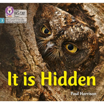 Big Cat Phonics for Little Wandle Letters and Sounds Revised - It is Hidden: Phase 3 Set 2 - ISBN 9780008502409