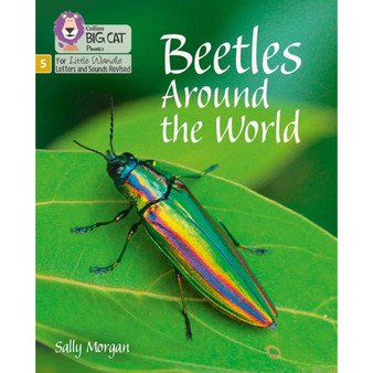 Big Cat Phonics for Little Wandle Letters and Sounds Revised - Beetles Around the World: Phase 5 Set 4 - ISBN 9780008504755